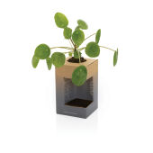 Avira Alya RCS gerecycled roestvrijstalen beker 300ML, wit