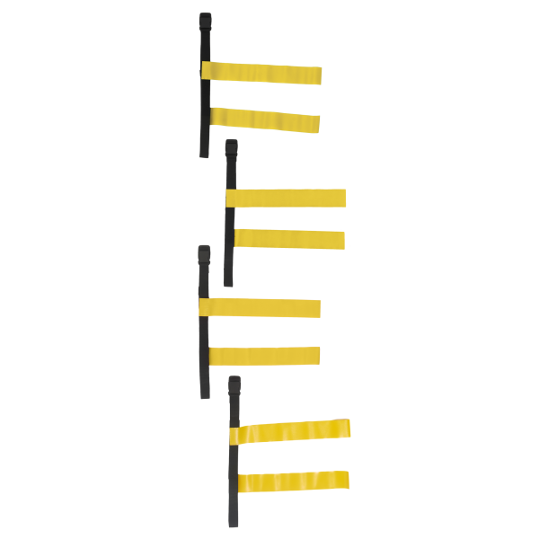 Tag Belt