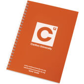 Oranje/Wit
