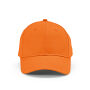 Darrell Cap - Oranje