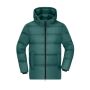 Men's Winter Jacket smoky-green S