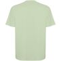 Bull oversized unisex T-shirt met korte mouwen - Mist Green - S
