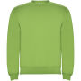 Clasica unisex trui met ronde hals - Oasis Green - L