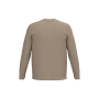 Ecologische herentrui met ronde hals Wet Sand S