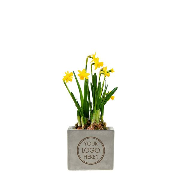 Congreet® plantpots large - Spring edition