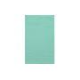 T1-30 Classic Guest Towel - Mint