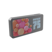 Aeris RCS ultradunne 10W IPX5 speaker met vervangbare batter, grijs