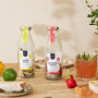 Pineut - Cocktail Giftset - Strawberry Mojito & Limoncello