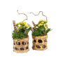 Easter wicker basket medium - Kalanchoë, Zonder verpakking