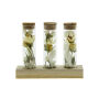 Dried Flowers - Trio tube & wood, Wit