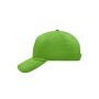 5 Panel Cap kiwi