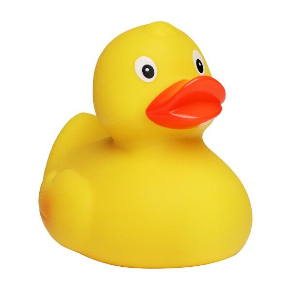 Racing duck
