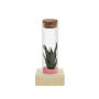 Tiny Treasurez® - Single tube & wood, Licht roze