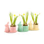 Easter ceramic dish small - Narcis, Zonder verpakking