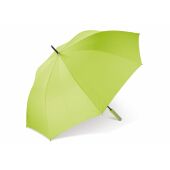 Lichtgroen