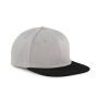 Pet Snapback - 6 panelen Light Grey / Black One Size