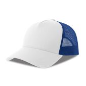 WHITE/ROYAL