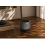 Peblo RCS 3W speaker met vervangbare batterij, grijs