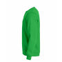 Basic R/N Sweater Apple Green 3XL