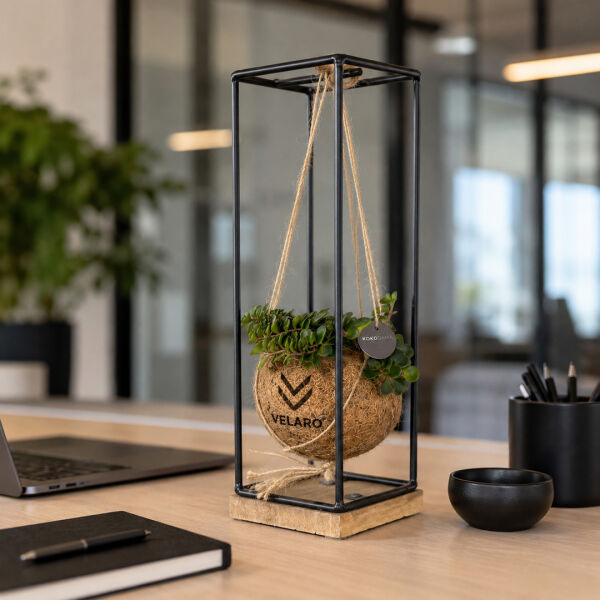 Kokodama® medium - Hanging green mix Kokodama® medium - Hanging green mix