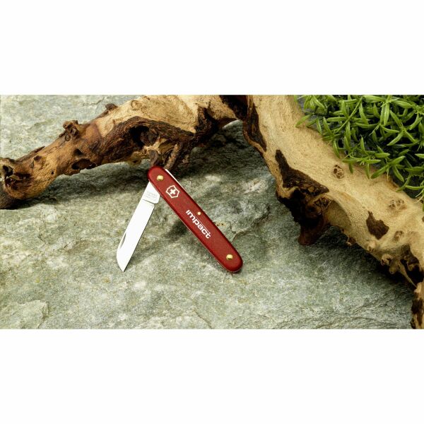 Victorinox Ecoline Flower Knive - red Victorinox Ecoline Flower Knive - red