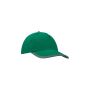 Bump 5 panels Cap Green one size