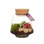 Wardians® Ecosystem - Conical small, Zonder verpakking