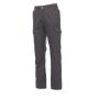 Forest Polar smoke XS