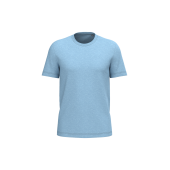 Cloudy blue heather