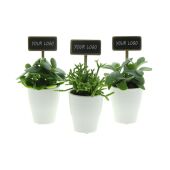 ChalkNotes® - Easy care mix