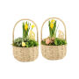 Easter carry basket large - Narcis, Zonder verpakking