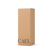 VINGA Cael RCS SS drinkfles 600ML, donkerblauw
