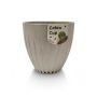 Coffee Based - Cup M 200 ml