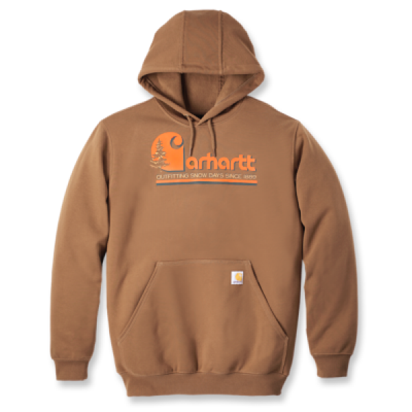 Carhartt Graphic Hooded Sweatshirt