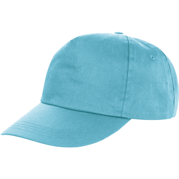Houston Printers pet Aqua One Size Houston Printers pet Aqua One Size