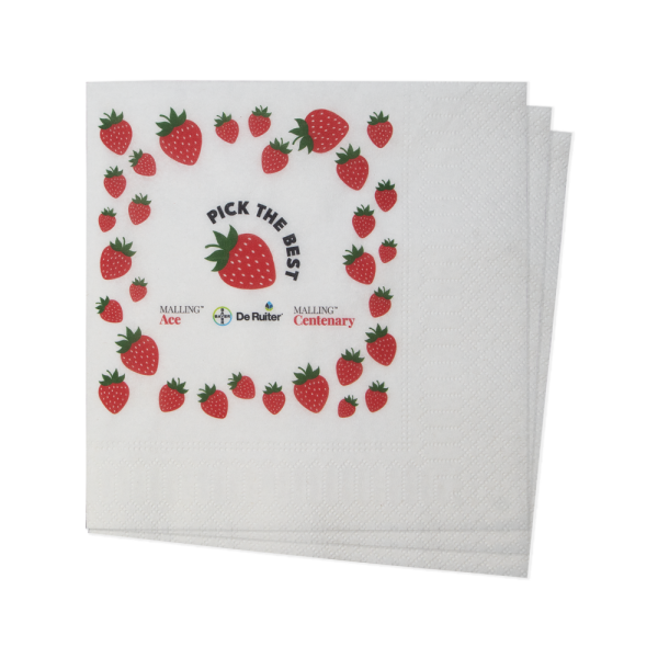 Servetten tissue 33 x 33 cm (16,5 x 16,5 cm) 1/4 vouw