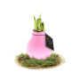 No Water Flowers® - Waxz® on golden dish, In giftbox, Pastel roze