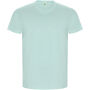 Golden short sleeve men's t-shirt - Mint - 3XL