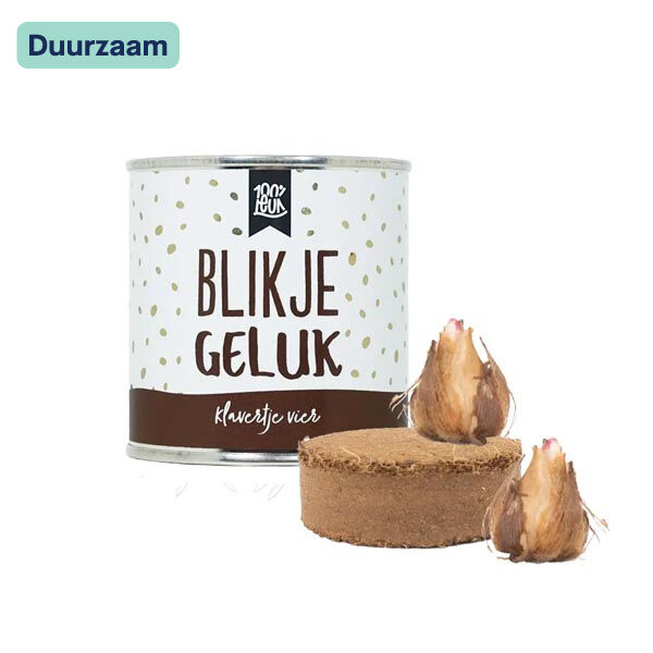 Blikje geluk I Klavertje vier