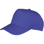 Boston pet Royal Blue One Size