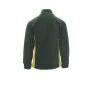 Aspen+ green/acid green M