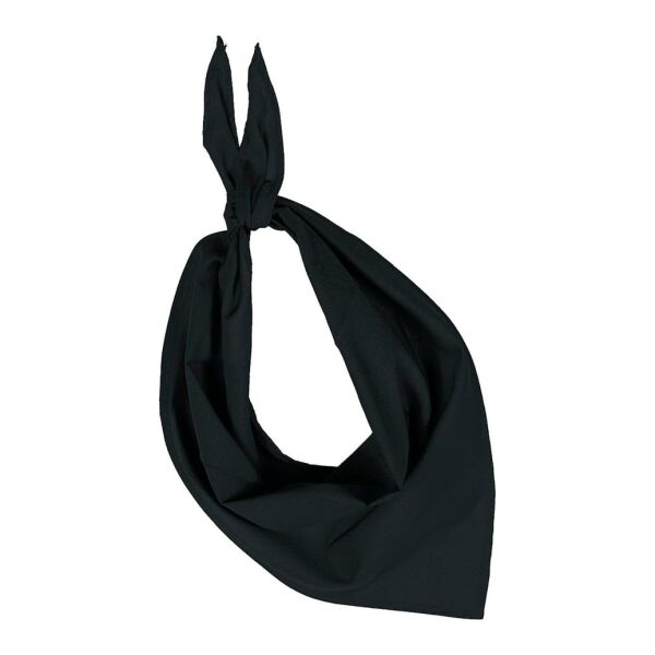 Fiesta - Bandana