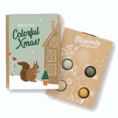 Blossombs - Giftbox mini Xmas - 4 stuks - Garden