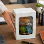 Wardians® Ecosystem - Bowl medium, Zonder verpakking