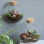 Wardians® Ecosystem - Wall hanger small, Zonder verpakking