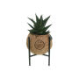 Kokodama® - Industrial easy care mix (S), Zonder verpakking