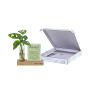 Hydroponic plants - Cardholder & tube Hydroponic plants - Cardholder & tube