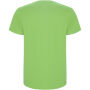 Stafford kindershirt met korte mouwen - Oasis Green - 5/6