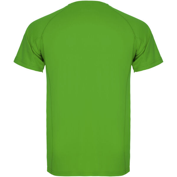 Montecarlo short sleeve kids sports t-shirt - Green Fern - 12