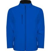 royal blue 05